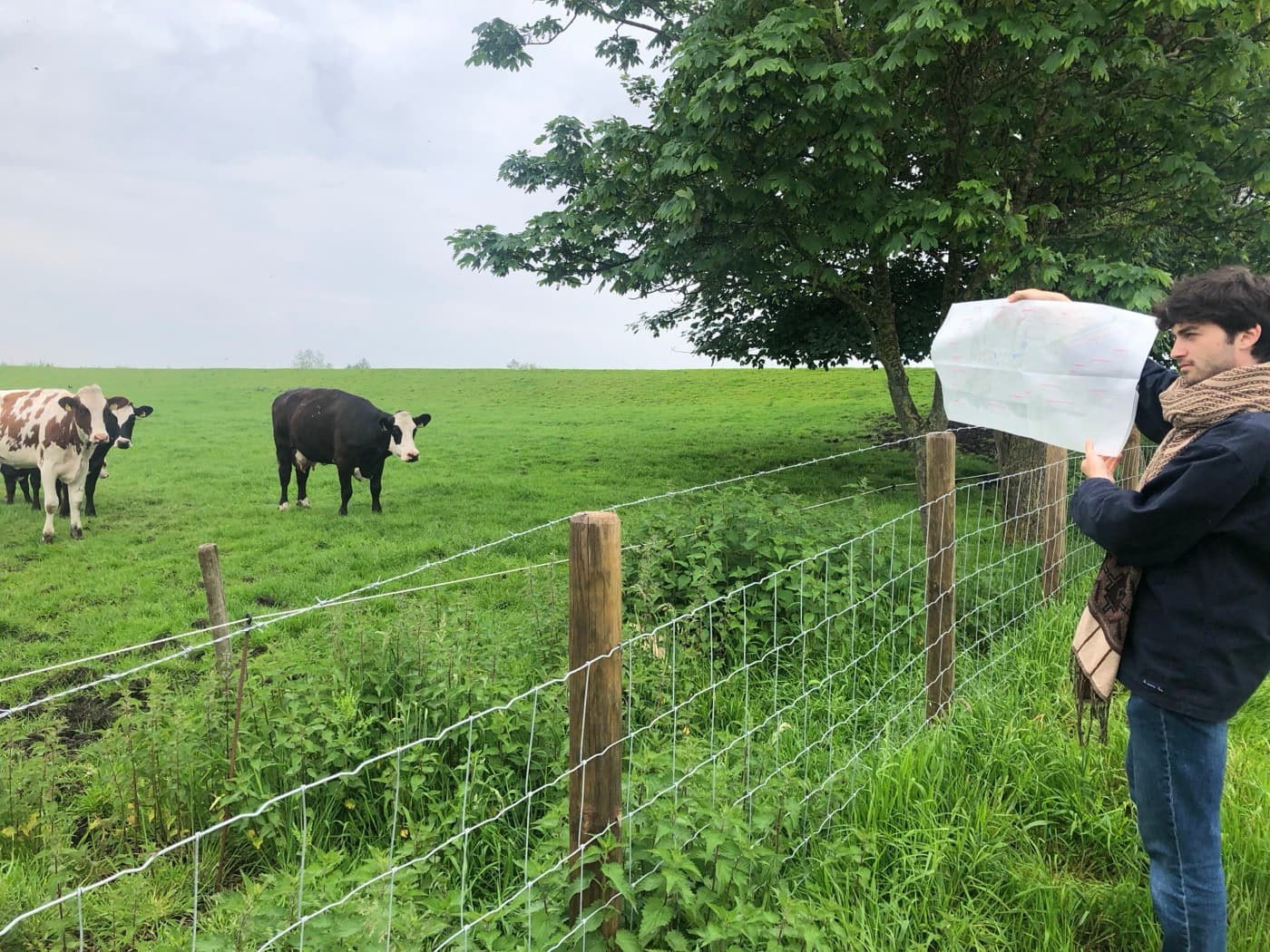 Mixed Orchard — Hazelland