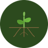 Common Roots logo