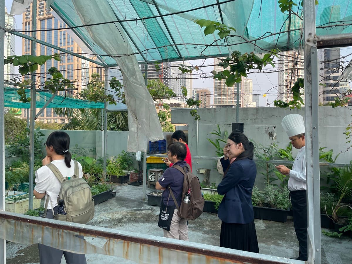 Marriott Rooftop Garden Concept photo 5