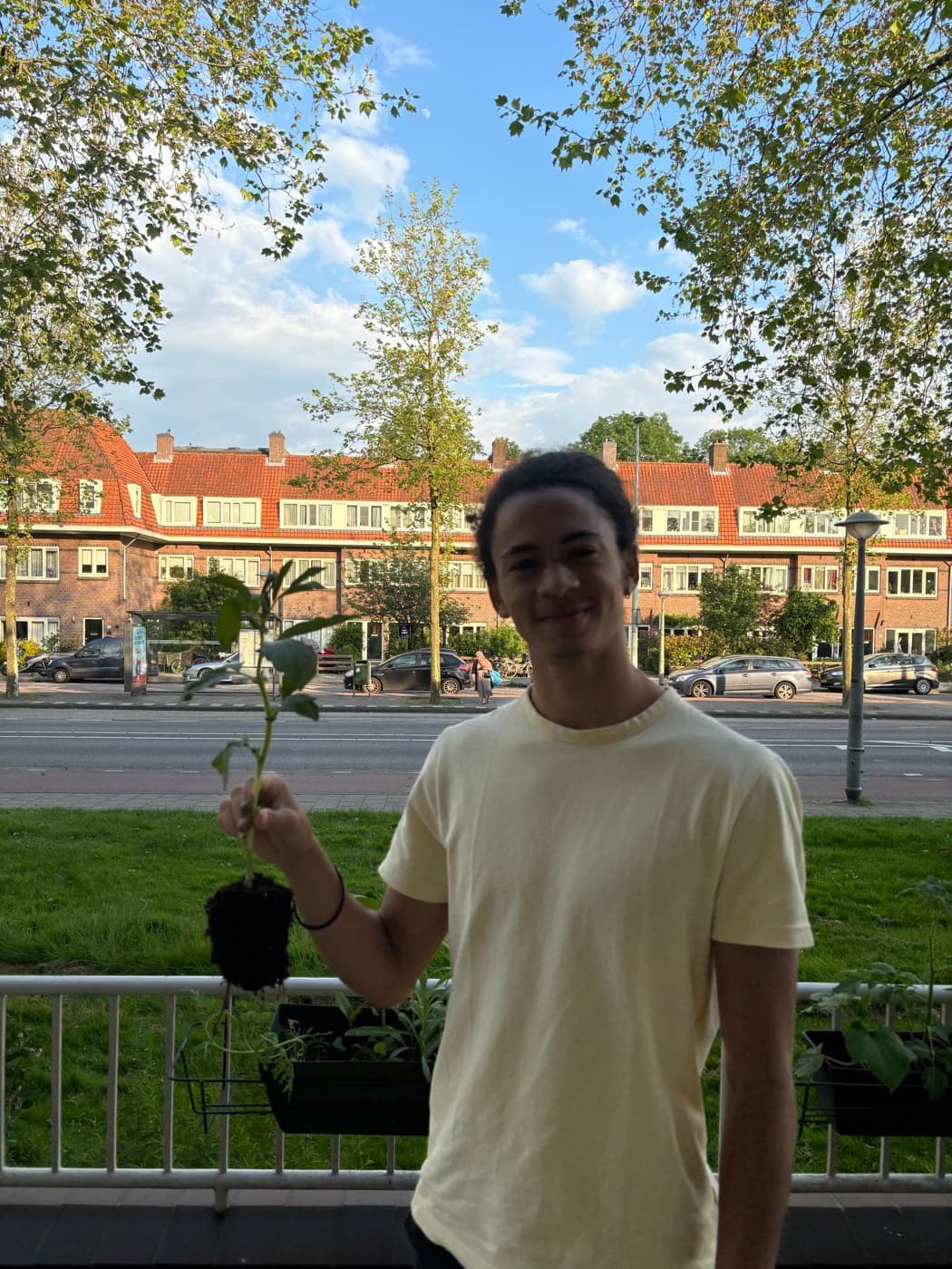Common Roots garden