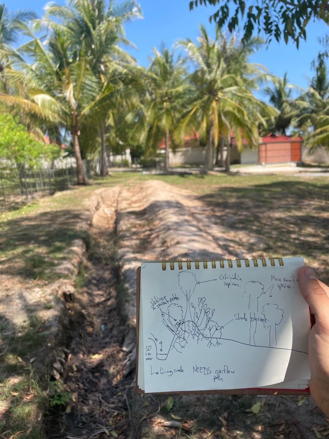 Food Forest Design — Pranburi photo 1