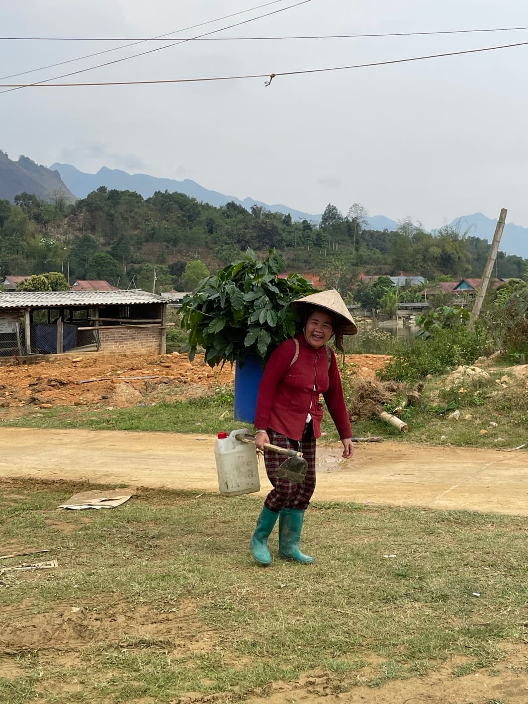 Coffee–Livestock Research — Vietnam photo 4